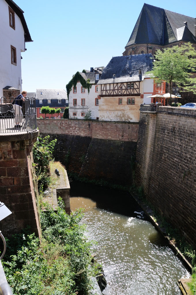 Trier 2013MOL 2825 9482