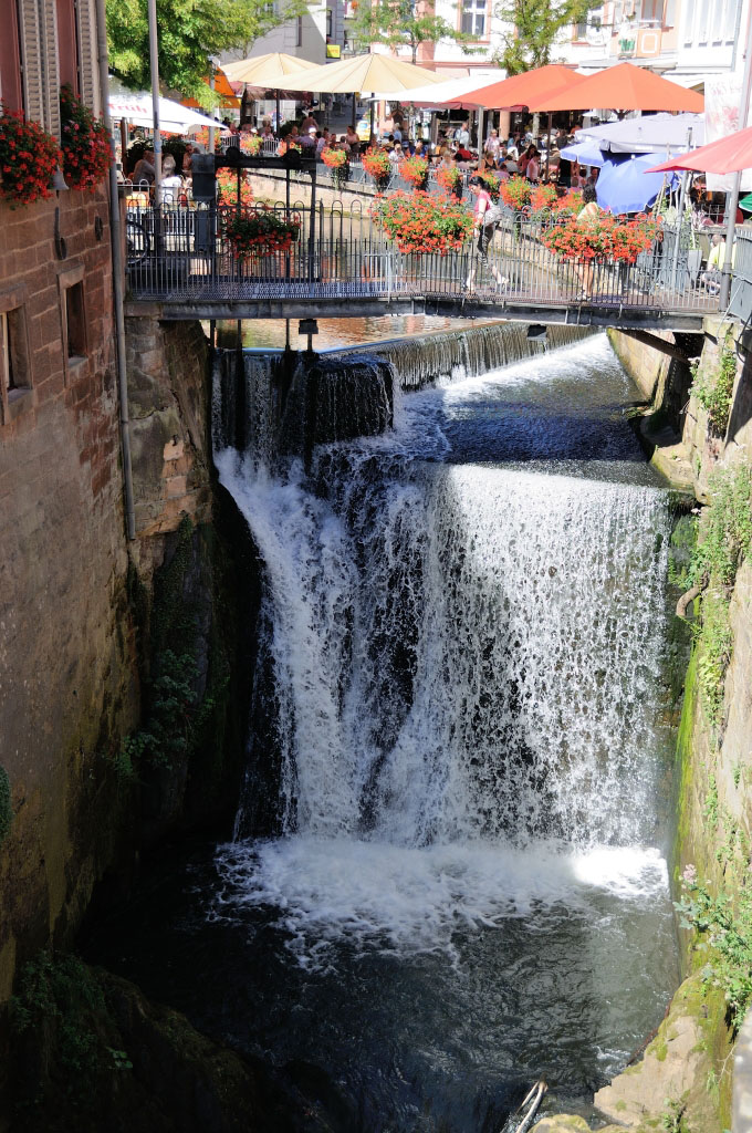 Trier 2013MOL 2830 9487