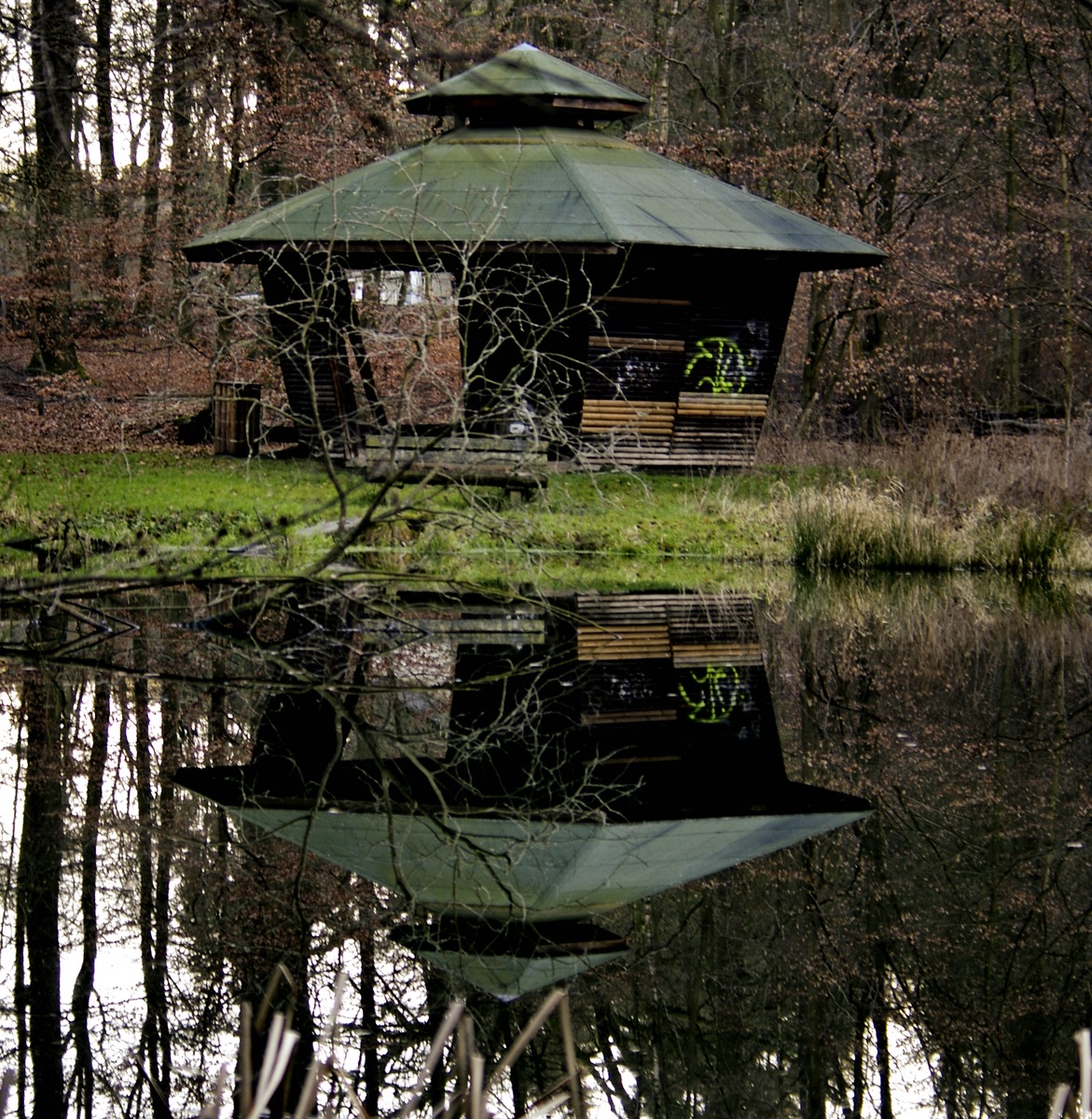 Tristesse im Uelzener Forst 1.jpg