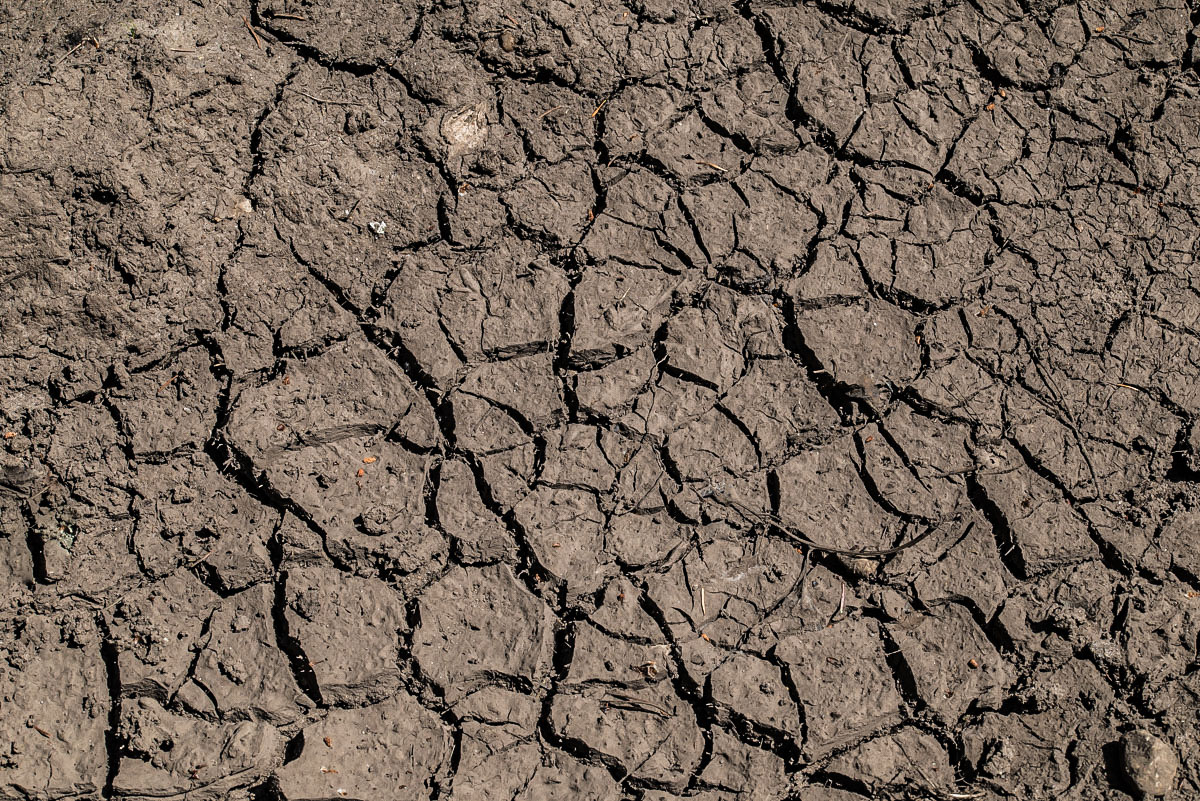 Trockenheit (1 von 1).jpg