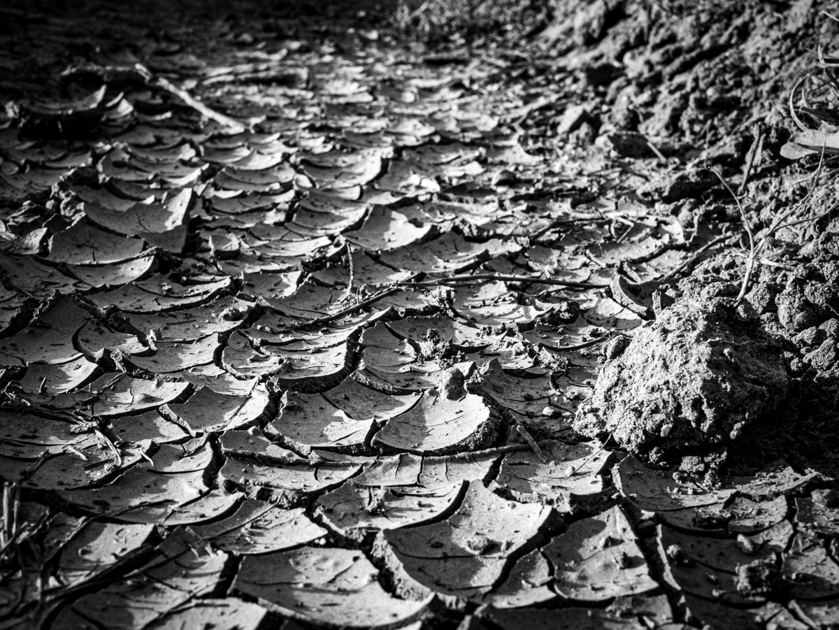 Trockenheit