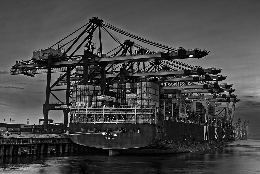 TS6 2356 DxO k v MSC Katie