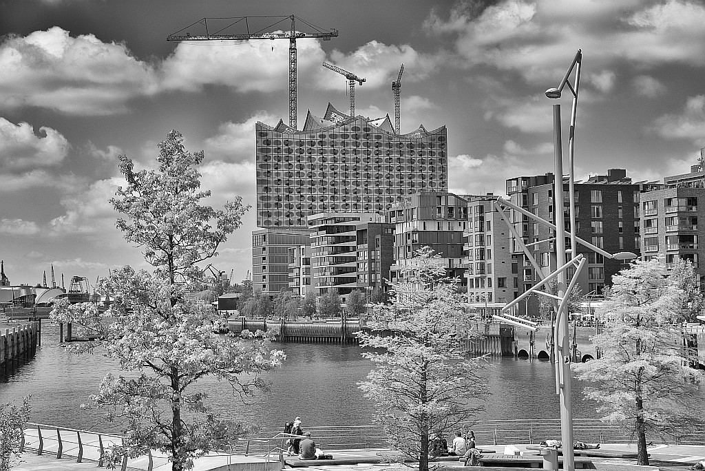 TS6 Elbphilharmonie,Hafencity 047 v g