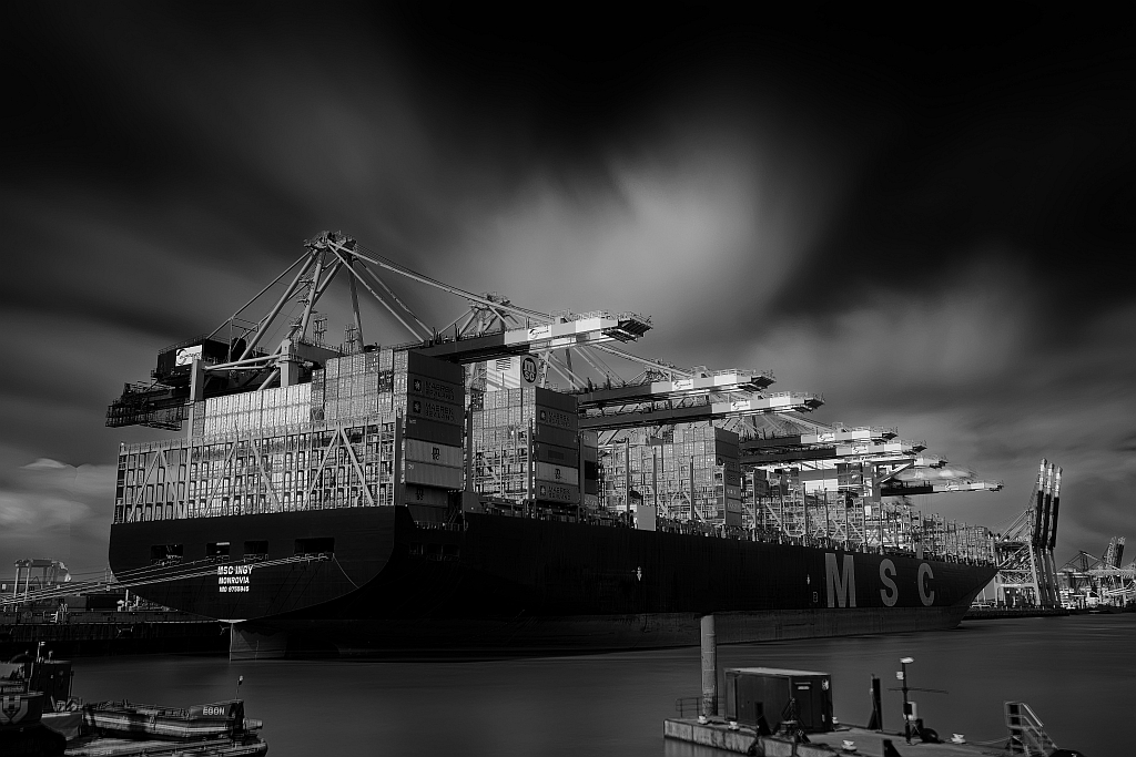 TS8 9204 DxO  k verkl MSC INGY