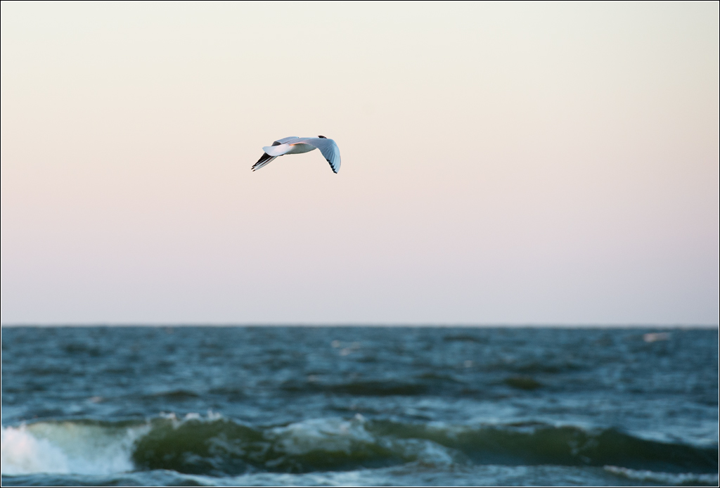 tschüss usedom