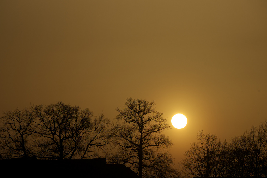 TSF 2021 045.jpg