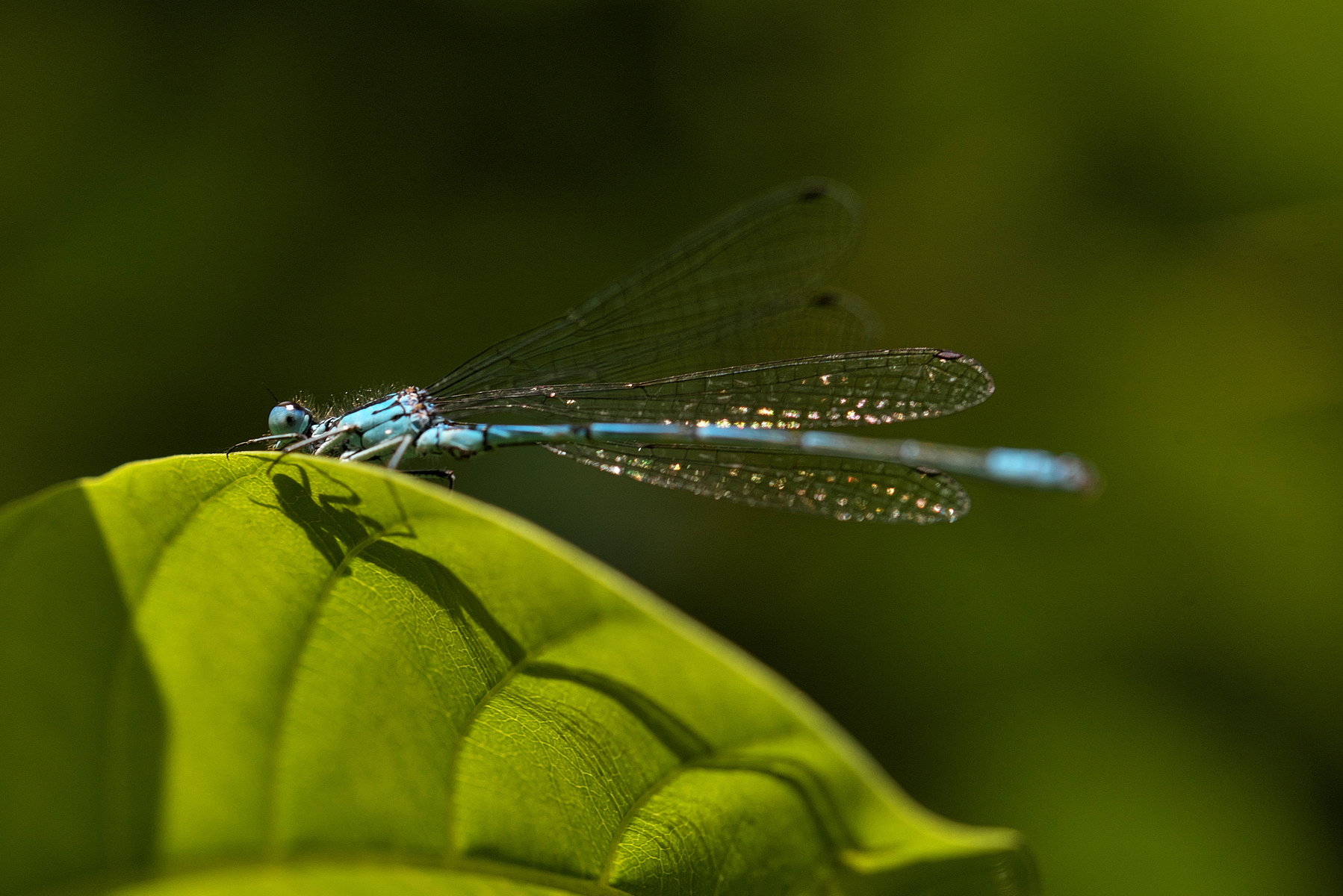 TSF 2021-137.jpg