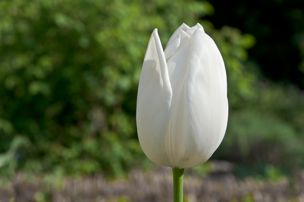 tul09