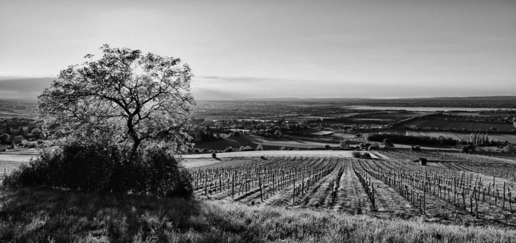 Tullnerfeld bei Tulln an der Donau
Nikon D800, Nikkor 16-35/4