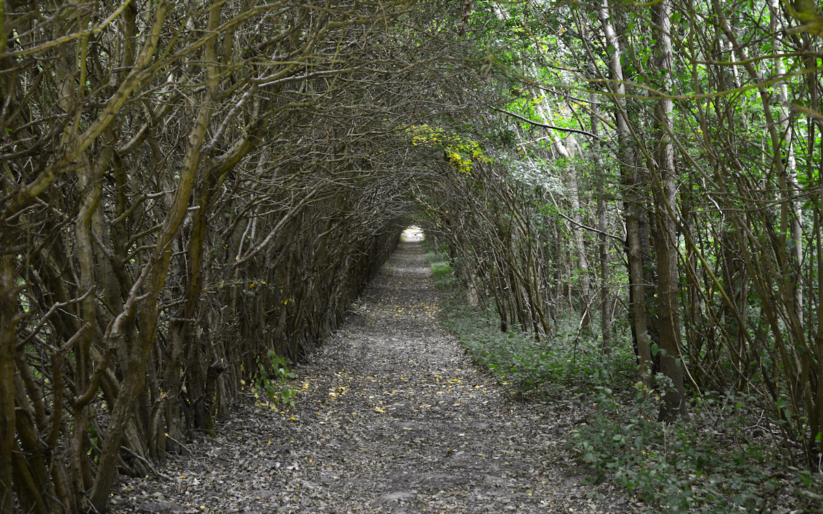 Tunnel