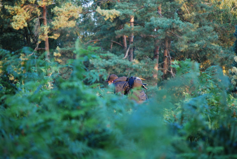 Turnschuhzoom im Einsatz
in diesem Bild ist ein Kay versteckt :)