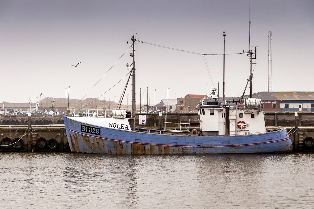 TZ DSC 2179