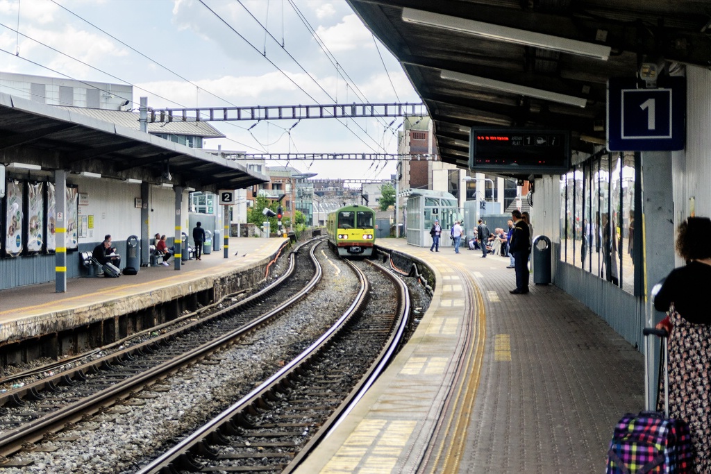 TZ DSC 5415