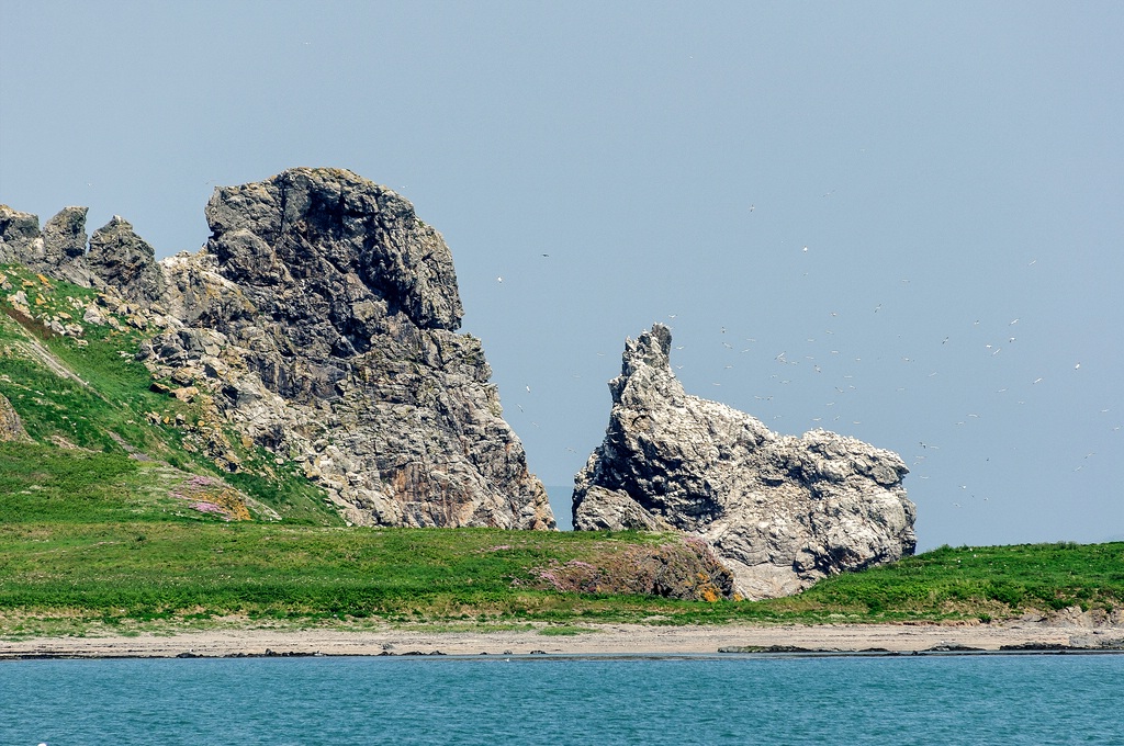TZ DSC 5439