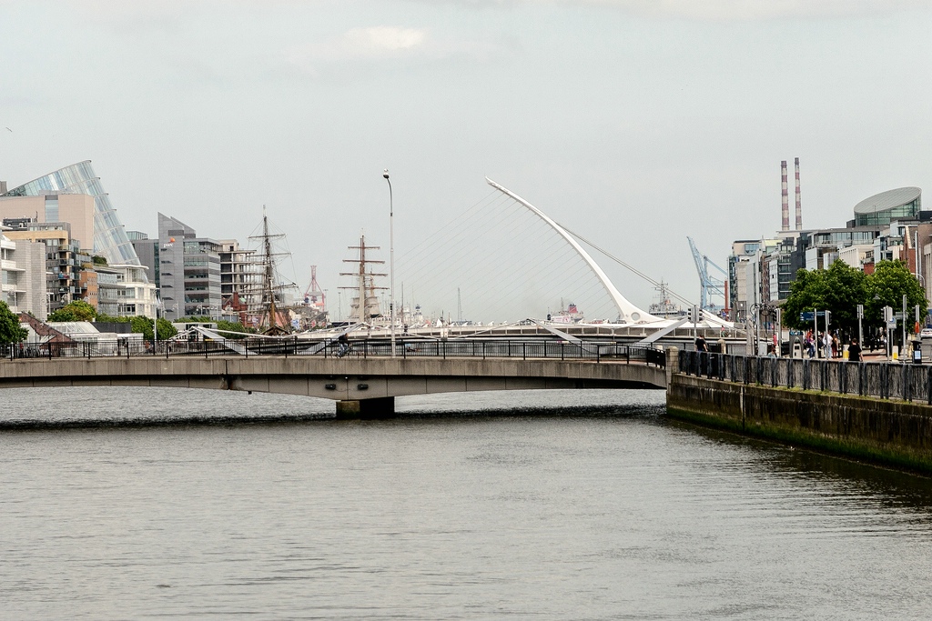 TZ DSC 5495