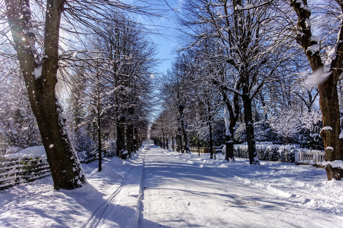 TZ DSC01875 A