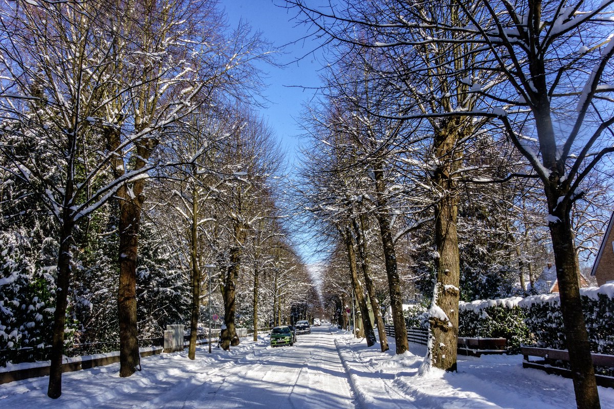 TZ DSC01876 A