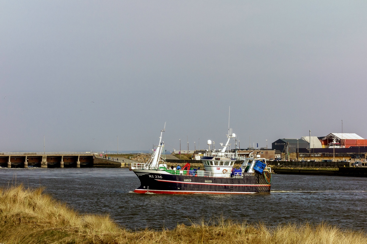 TZ DSC02084 A