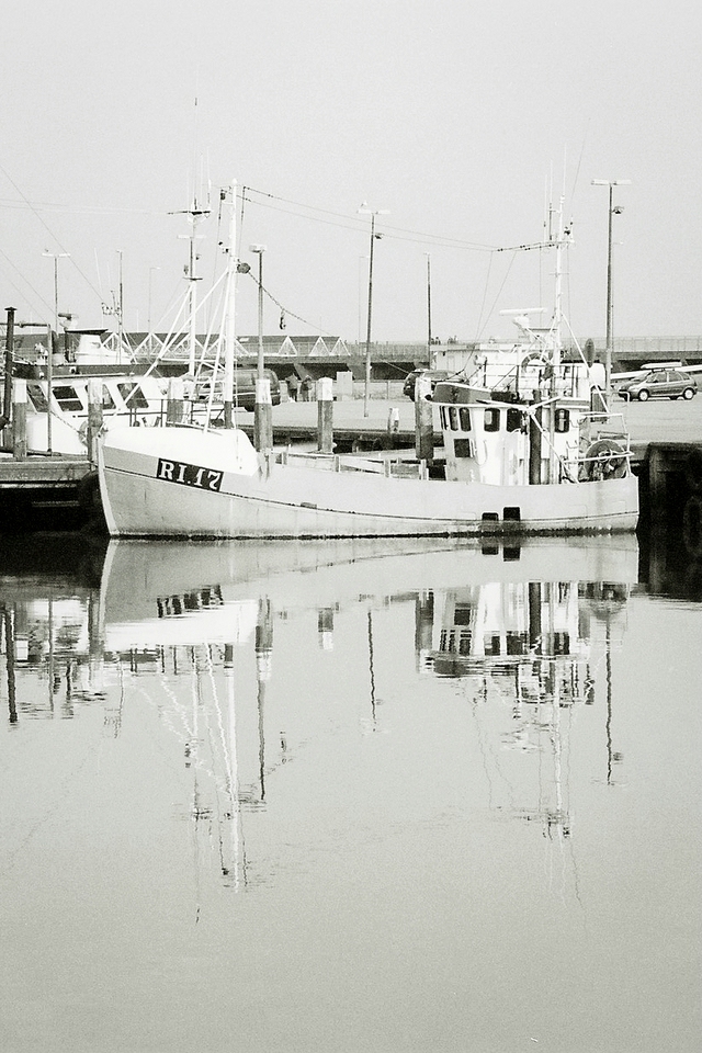 TZ F1000015 1