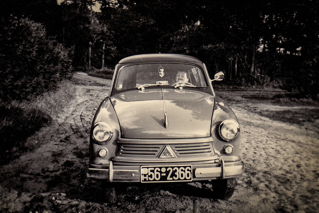 TZ IMG 0009 A