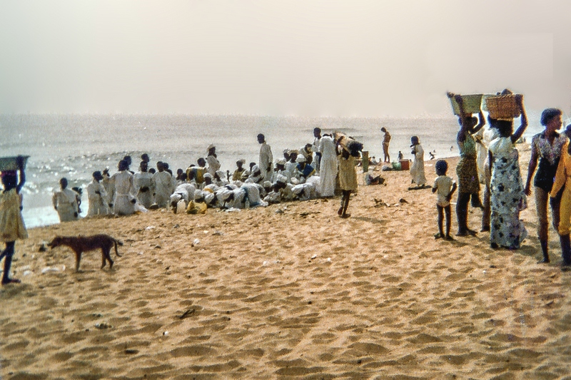 TZ Strand 2