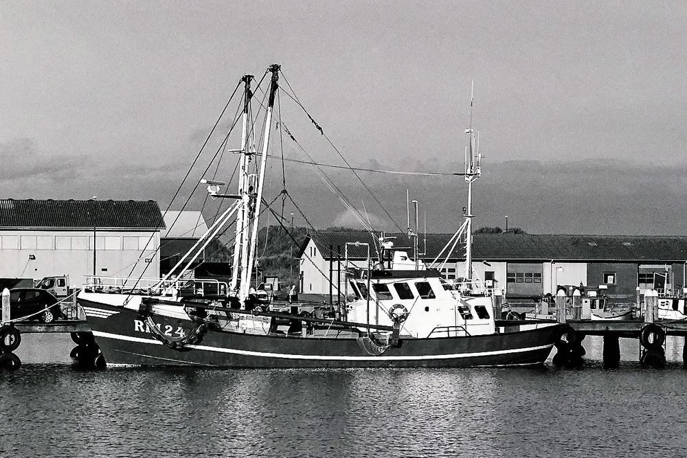 TZ_000_3_A.jpg