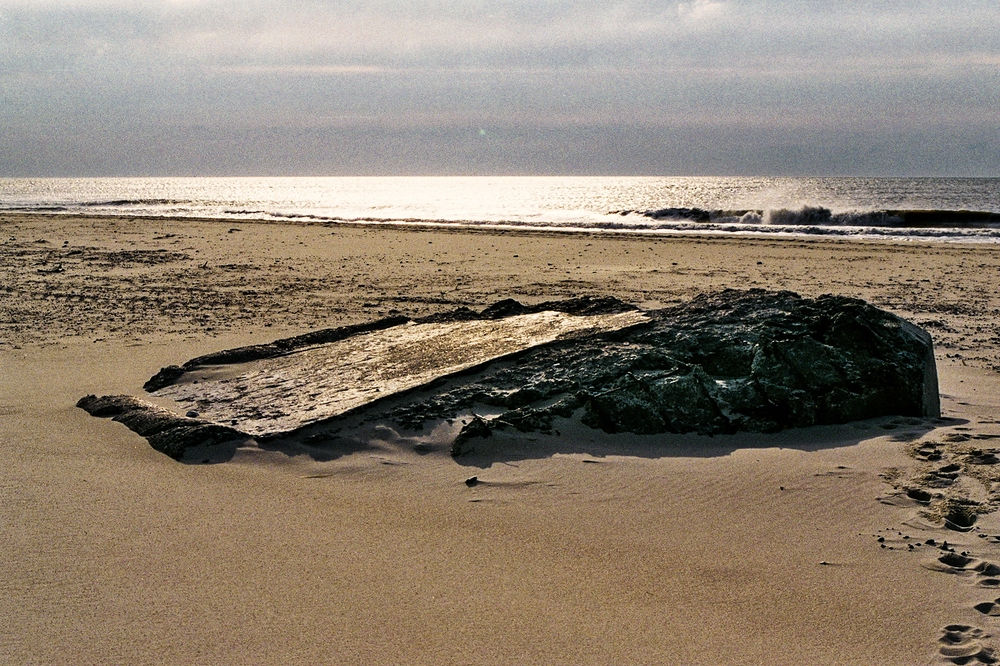 TZ_006_8A_B.jpg