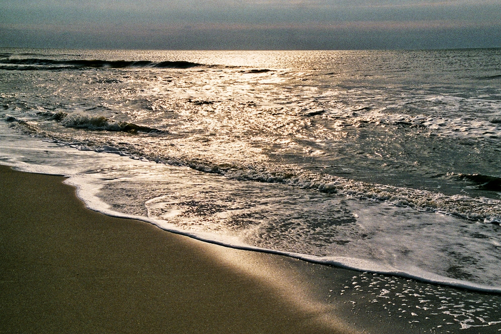 TZ_007_9A_B.jpg