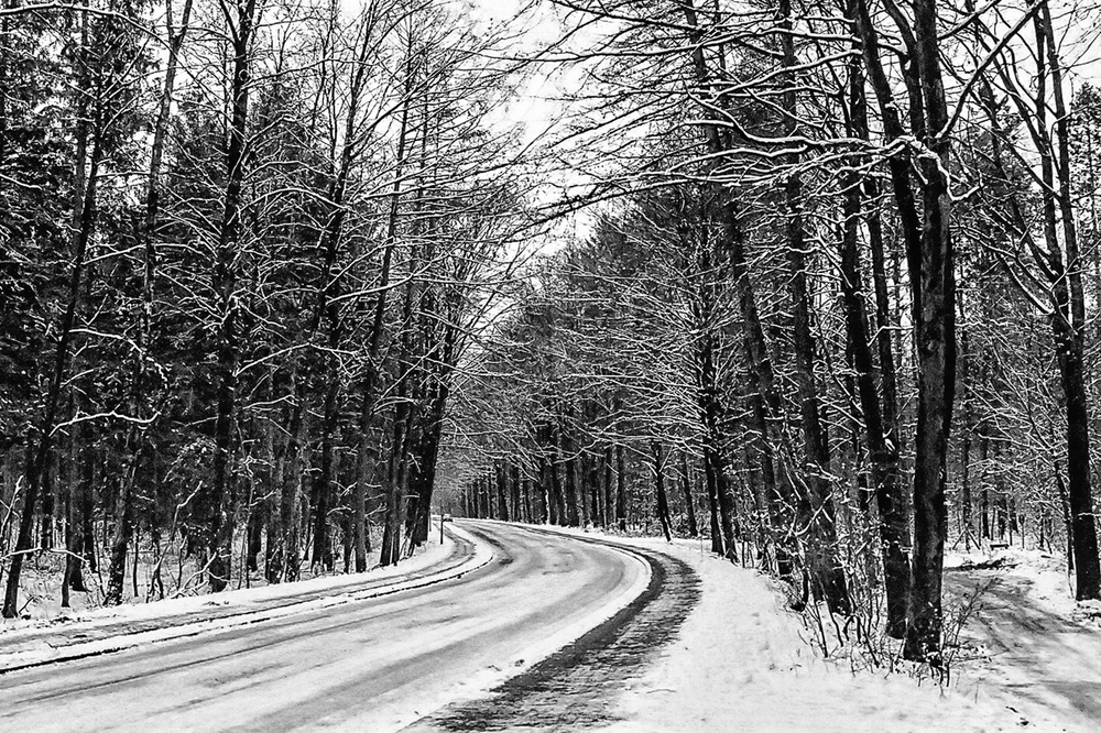 TZ_012_13.jpg
