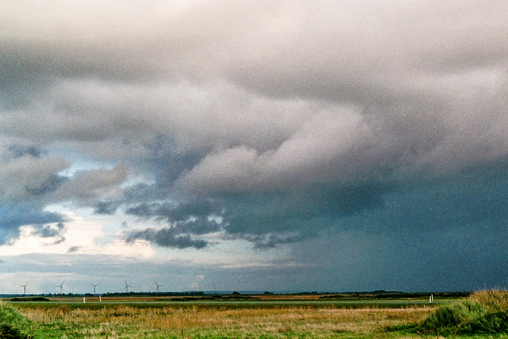 TZ_012_14A.jpg