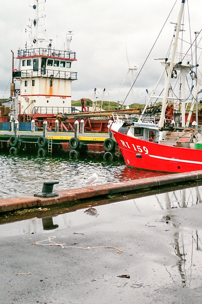 TZ_017_19A.jpg