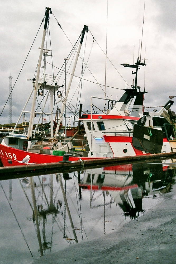 TZ_018_20A.jpg