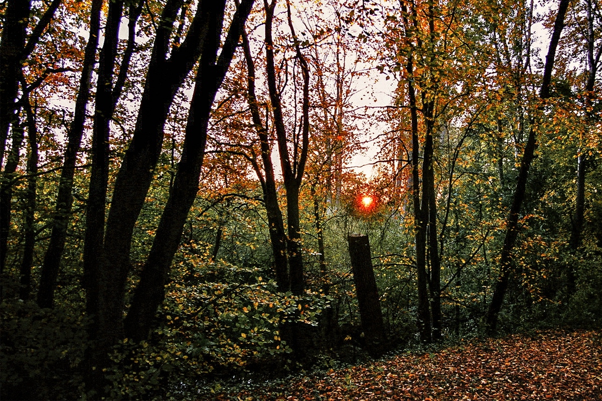 TZ_022_24_A.jpg
