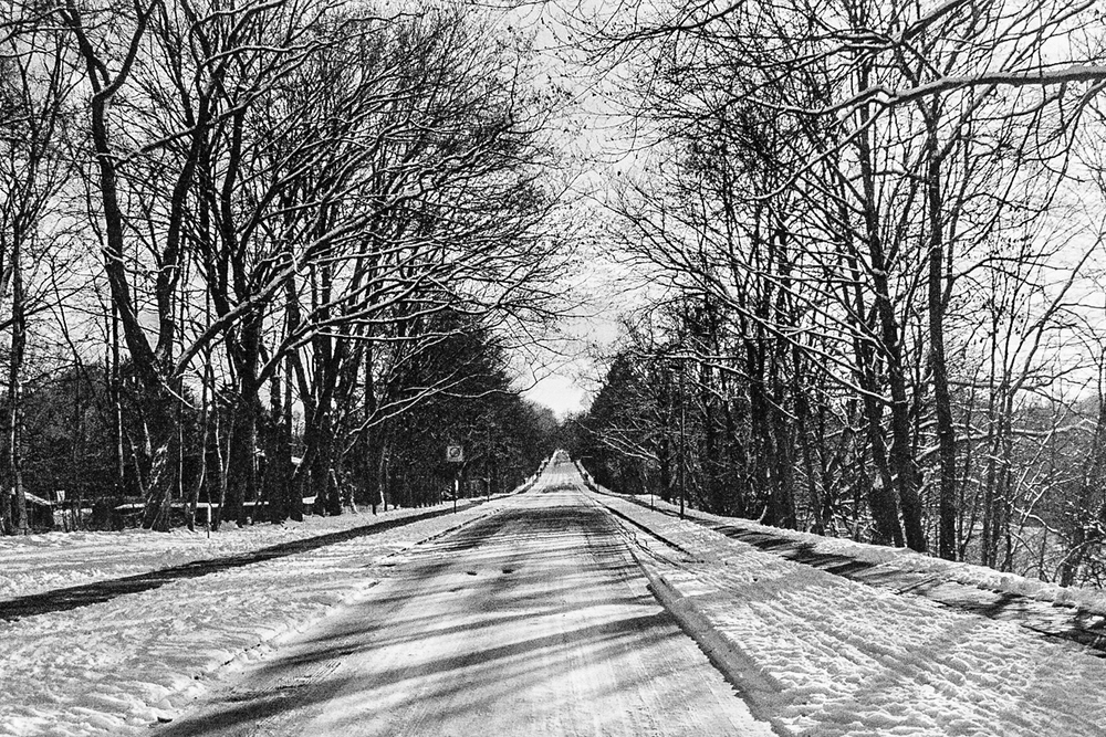 TZ_024_25.jpg
