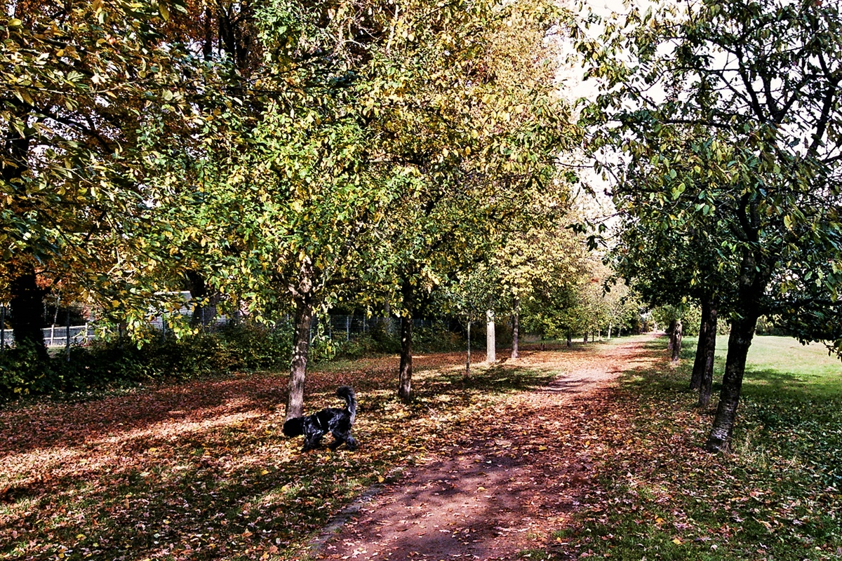 TZ_033_35_A.jpg