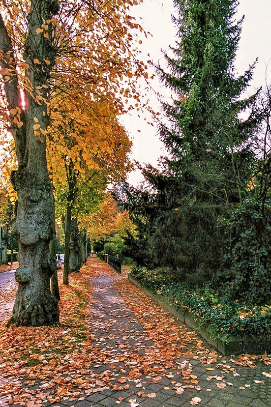 TZ_034_36_A.jpg