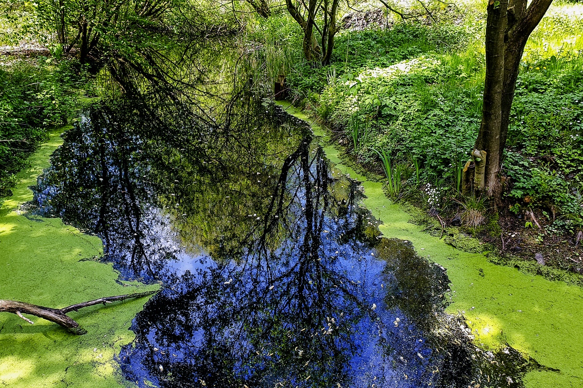 TZ_2019-05-11_13.15.jpg