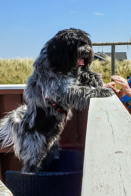 TZ_2019-05-19_13-31.jpg
