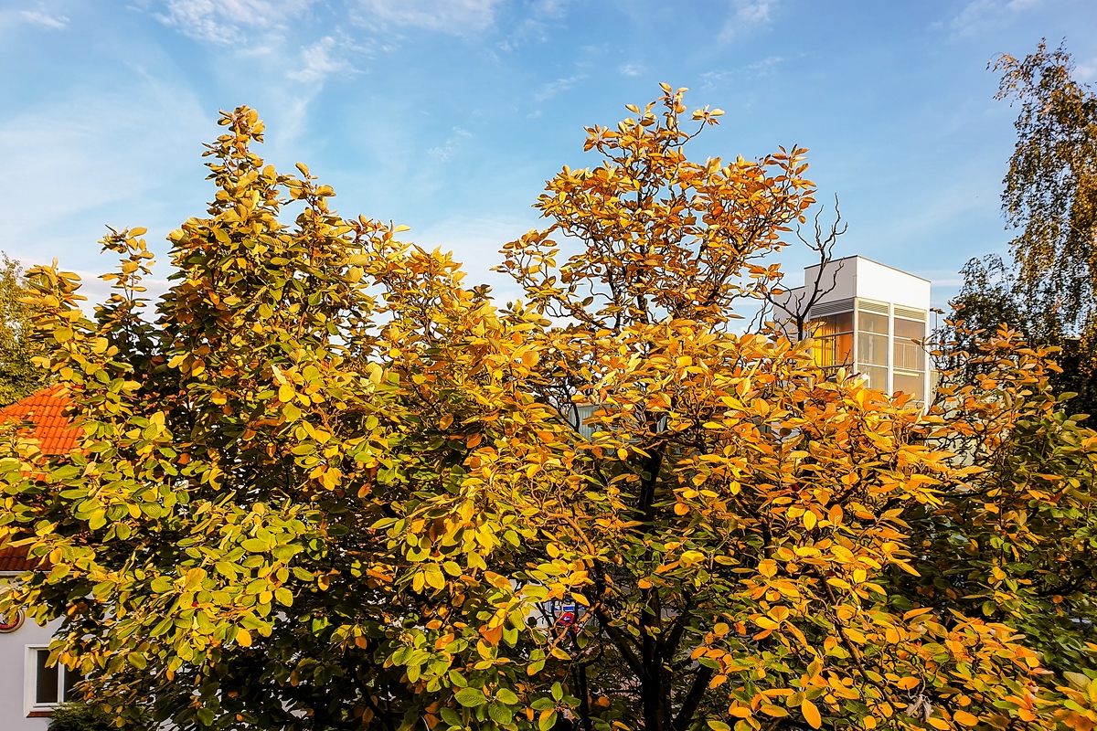 TZ_2019-10-16 16-30.jpg