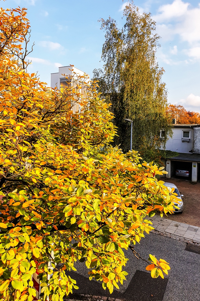 TZ_2019-10-16 16-51.jpg