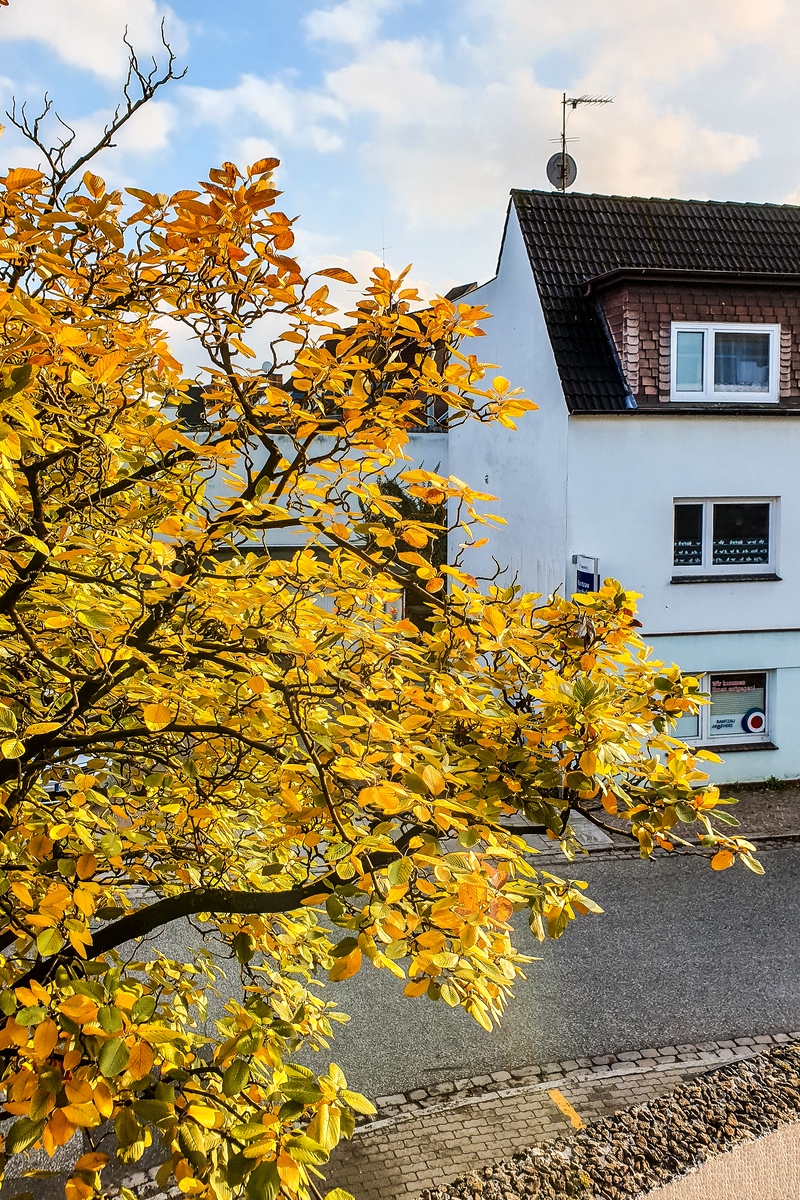 TZ_2019-10-16 16-53.jpg