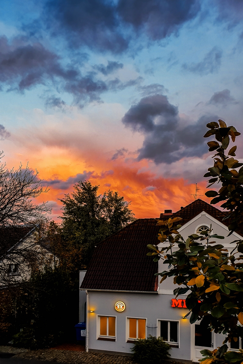 TZ_2019-10-18_18-10.jpg