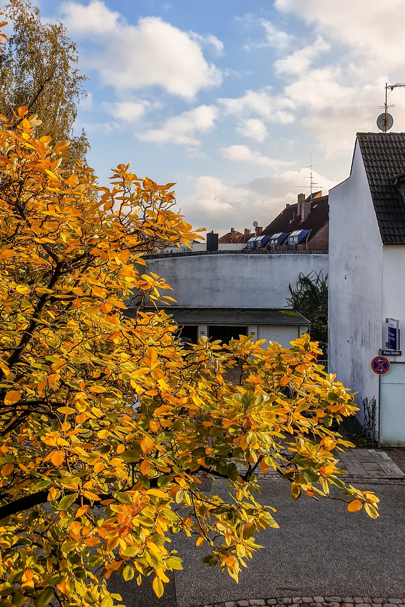 TZ_20191016_1650.jpg