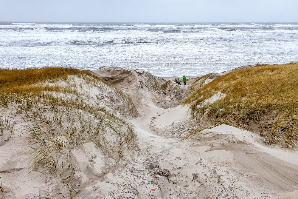 TZ_2020-02-17_15-29.jpg