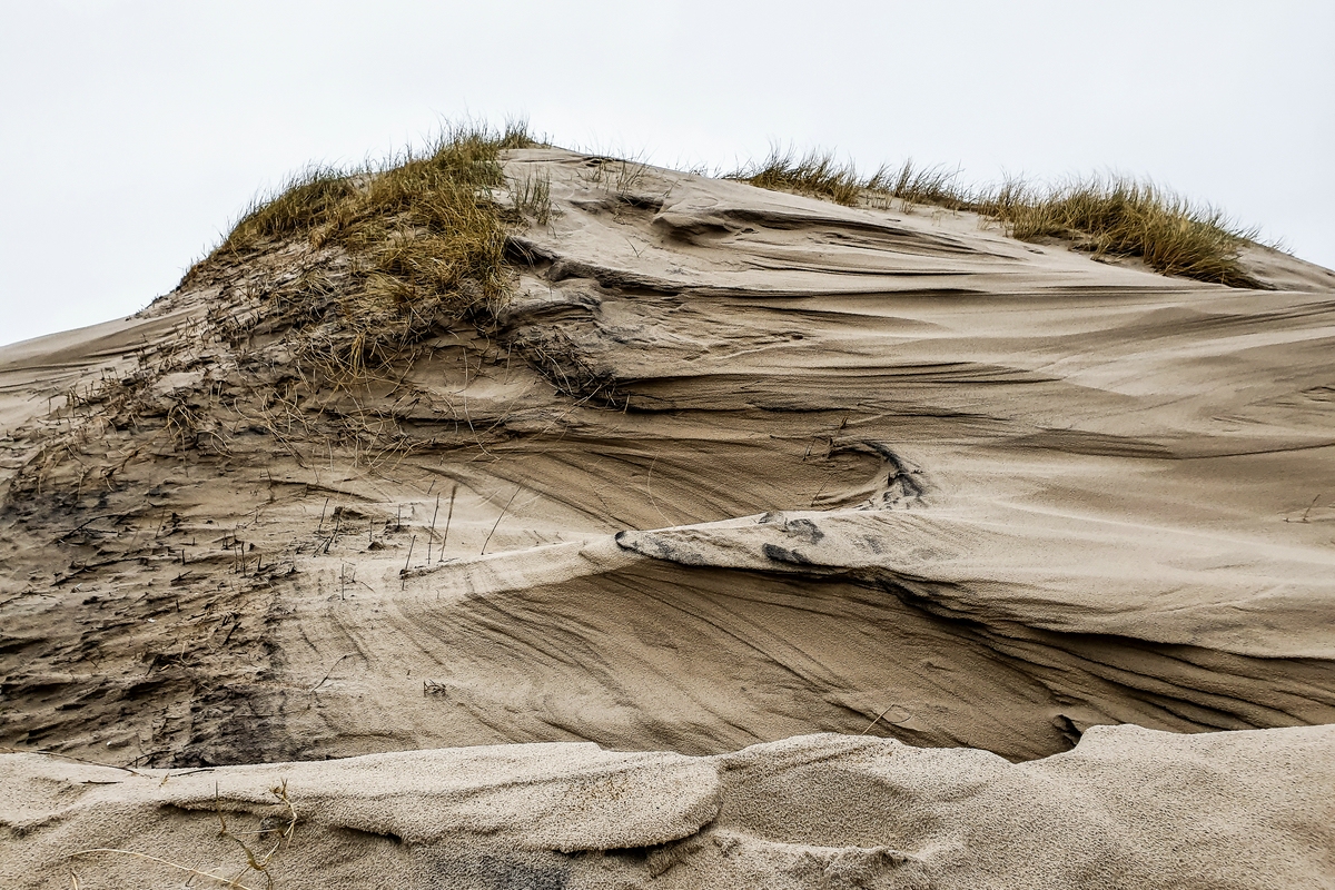 TZ_2020-02-20_16-40.jpg