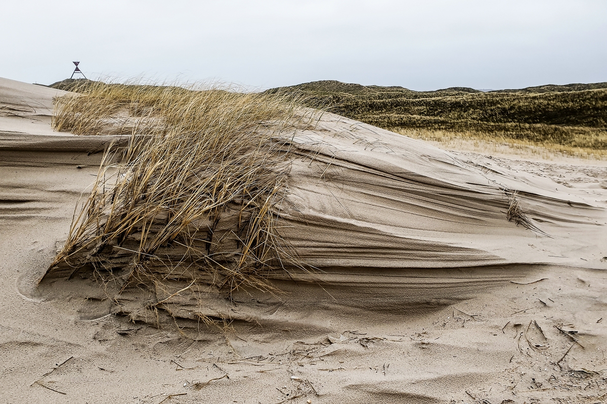 TZ_2020-02-20_16-43.jpg