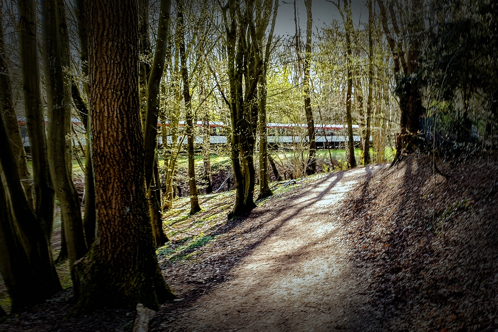TZ_2020-04-04_17-29.jpg