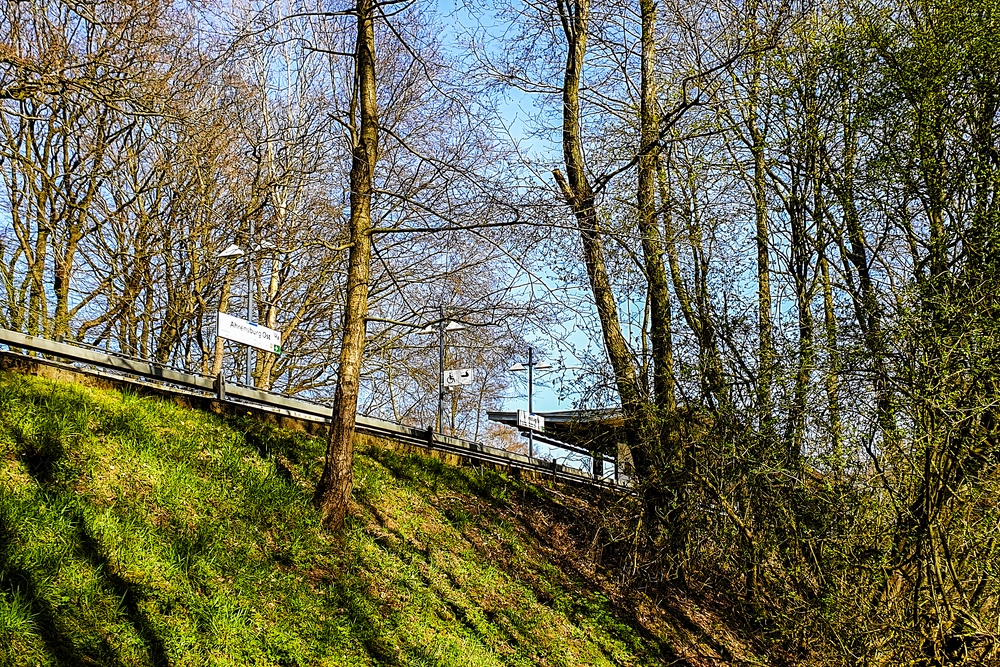 TZ_2020-04-10_15.jpg
