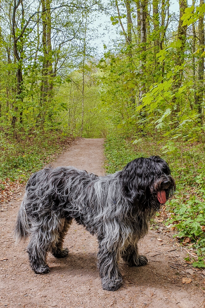TZ_2020-04-25 15-07.jpg