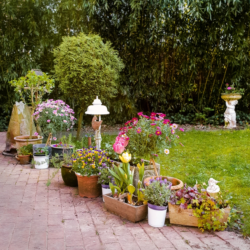 TZ_2020-04-26 17-29.jpg